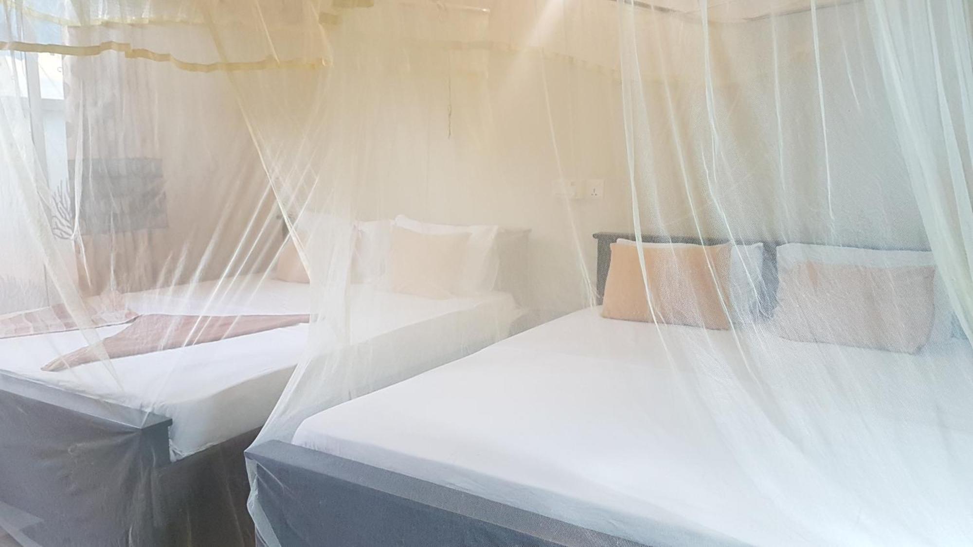 Hotel Pinki Nest Mirissa Zewnętrze zdjęcie
