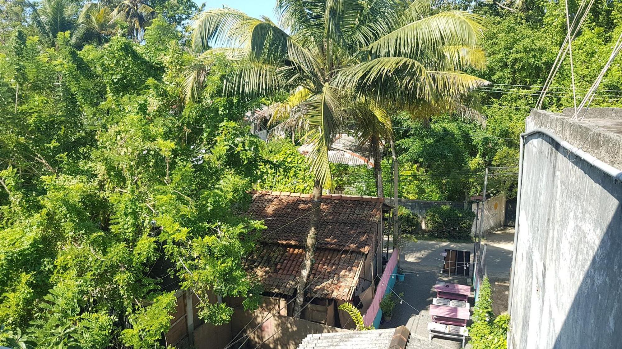 Hotel Pinki Nest Mirissa Zewnętrze zdjęcie